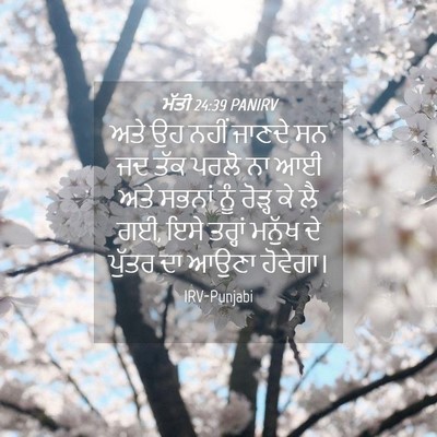 Picture 04 - ਮੱਤੀ 24:39 PANIRV - ਅਤੇ ਉਹ ਨਹੀਂ ਜਾਣਦੇ - Bible Verse Picture