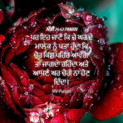 Picture 04 - ਮੱਤੀ 24:43 PANIRV - ਪਰ ਇਹ ਜਾਣੋ ਕਿ ਜੇ ਘਰ - Bible Verse Picture