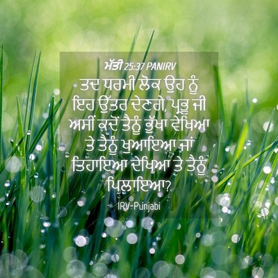 Picture 04 - ਮੱਤੀ 25:37 PANIRV - ਤਦ ਧਰਮੀ ਲੋਕ ਉਹ ਨੂੰ - Bible Verse Picture