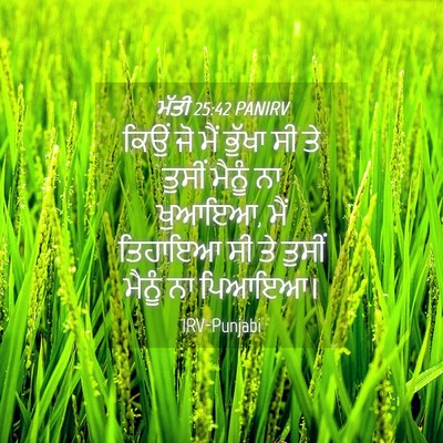 Picture 04 - ਮੱਤੀ 25:42 PANIRV - ਕਿਉਂ ਜੋ ਮੈਂ ਭੁੱਖਾ - Bible Verse Picture