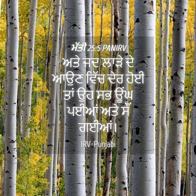 Picture 04 - ਮੱਤੀ 25:5 PANIRV - ਅਤੇ ਜਦ ਲਾੜੇ ਦੇ ਆਉਣ - Bible Verse Picture