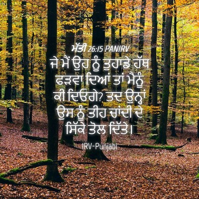 Picture 04 - ਮੱਤੀ 26:15 PANIRV - ਜੇ ਮੈਂ ਉਹ ਨੂੰ - Bible Verse Picture