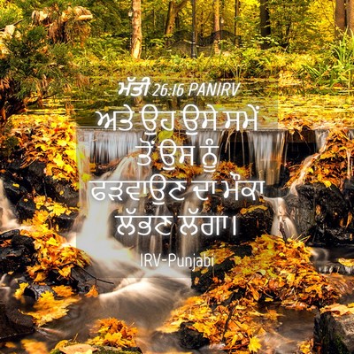 Picture 04 - ਮੱਤੀ 26:16 PANIRV - ਅਤੇ ਉਹ ਉਸੇ ਸਮੇਂ ਤੋਂ - Bible Verse Picture
