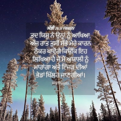 Picture 04 - ਮੱਤੀ 26:31 PANIRV - ਤਦ ਯਿਸੂ ਨੇ ਉਨ੍ਹਾਂ - Bible Verse Picture