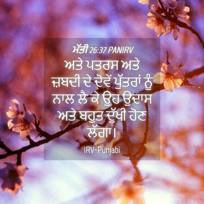 Picture 04 - ਮੱਤੀ 26:37 PANIRV - ਅਤੇ ਪਤਰਸ ਅਤੇ ਜ਼ਬਦੀ - Bible Verse Picture