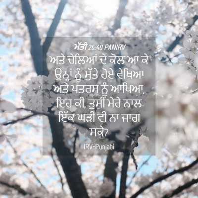 Picture 04 - ਮੱਤੀ 26:40 PANIRV - ਅਤੇ ਚੇਲਿਆਂ ਦੇ ਕੋਲ ਆ - Bible Verse Picture