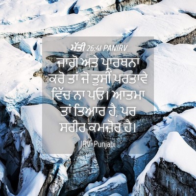 Picture 04 - ਮੱਤੀ 26:41 PANIRV - ਜਾਗੋ ਅਤੇ ਪ੍ਰਾਰਥਨਾ - Bible Verse Picture
