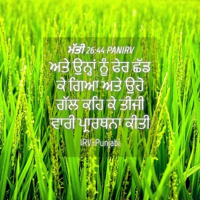 Picture 04 - ਮੱਤੀ 26:44 PANIRV - ਅਤੇ ਉਨ੍ਹਾਂ ਨੂੰ ਫੇਰ - Bible Verse Picture