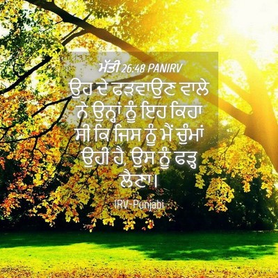 Picture 04 - ਮੱਤੀ 26:48 PANIRV - ਉਹ ਦੇ ਫੜਵਾਉਣ ਵਾਲੇ - Bible Verse Picture