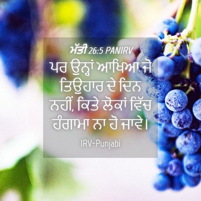 Picture 04 - ਮੱਤੀ 26:5 PANIRV - ਪਰ ਉਨ੍ਹਾਂ ਆਖਿਆ ਜੋ - Bible Verse Picture
