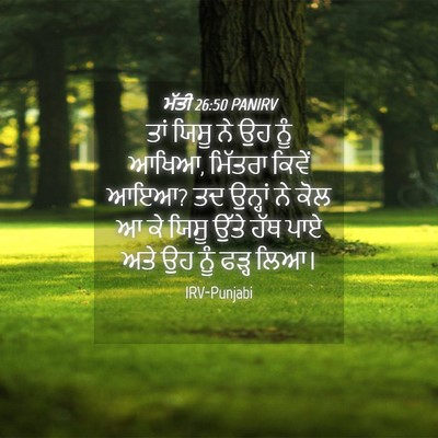 Picture 04 - ਮੱਤੀ 26:50 PANIRV - ਤਾਂ ਯਿਸੂ ਨੇ ਉਹ ਨੂੰ - Bible Verse Picture