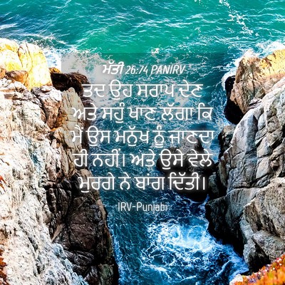 Picture 04 - ਮੱਤੀ 26:74 PANIRV - ਤਦ ਉਹ ਸਰਾਪ ਦੇਣ ਅਤੇ - Bible Verse Picture