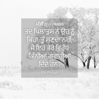 Picture 04 - ਮੱਤੀ 27:13 PANIRV - ਤਦ ਪਿਲਾਤੁਸ ਨੇ ਉਹ - Bible Verse Picture