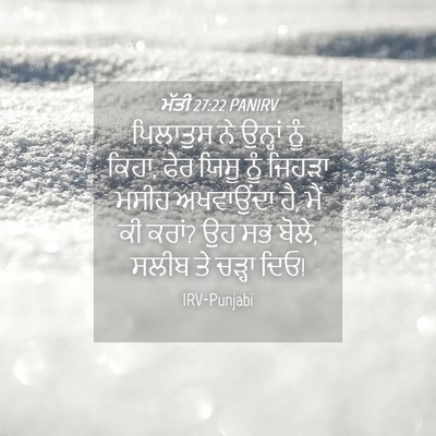 Picture 04 - ਮੱਤੀ 27:22 PANIRV - ਪਿਲਾਤੁਸ ਨੇ ਉਨ੍ਹਾਂ - Bible Verse Picture