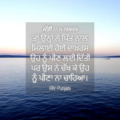 Picture 04 - ਮੱਤੀ 27:34 PANIRV - ਤਾਂ ਉਨ੍ਹਾਂ ਨੇ ਪਿੱਤ - Bible Verse Picture
