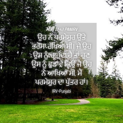 Picture 04 - ਮੱਤੀ 27:43 PANIRV - ਉਹ ਨੇ ਪਰਮੇਸ਼ੁਰ - Bible Verse Picture