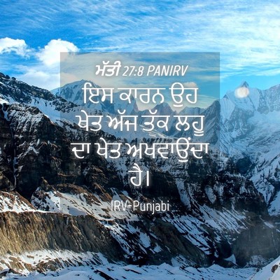 Picture 04 - ਮੱਤੀ 27:8 PANIRV - ਇਸ ਕਾਰਨ ਉਹ ਖੇਤ ਅੱਜ - Bible Verse Picture