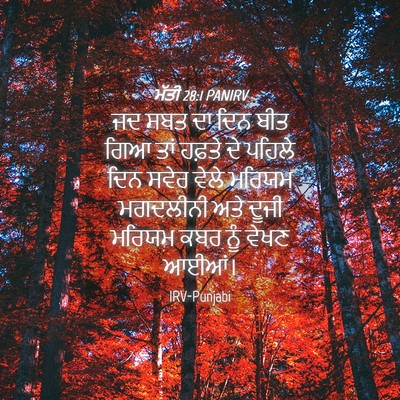 Picture 04 - ਮੱਤੀ 28:1 PANIRV - ਜਦ ਸਬਤ ਦਾ ਦਿਨ ਬੀਤ - Bible Verse Picture