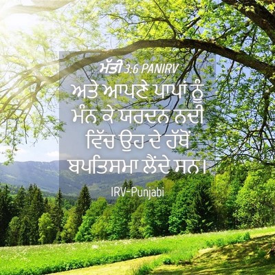 Picture 04 - ਮੱਤੀ 3:6 PANIRV - ਅਤੇ ਆਪਣੇ ਪਾਪਾਂ ਨੂੰ - Bible Verse Picture