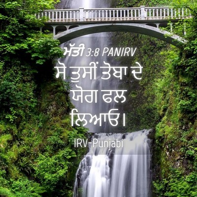 Picture 04 - ਮੱਤੀ 3:8 PANIRV - ਸੋ ਤੁਸੀਂ ਤੋਬਾ ਦੇ - Bible Verse Picture