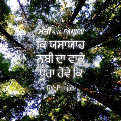 Picture 04 - ਮੱਤੀ 4:14 PANIRV - ਕਿ ਯਸਾਯਾਹ ਨਬੀ ਦਾ - Bible Verse Picture