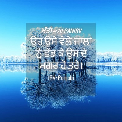 Picture 04 - ਮੱਤੀ 4:20 PANIRV - ਉਹ ਉਸੇ ਵੇਲੇ ਜਾਲ਼ਾਂ - Bible Verse Picture