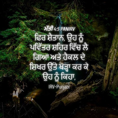 Picture 04 - ਮੱਤੀ 4:5 PANIRV - ਫਿਰ ਸ਼ੈਤਾਨ, ਉਹ ਨੂੰ - Bible Verse Picture