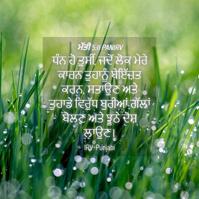 Picture 04 - ਮੱਤੀ 5:11 PANIRV - ਧੰਨ ਹੋ ਤੁਸੀਂ, ਜਦੋਂ - Bible Verse Picture