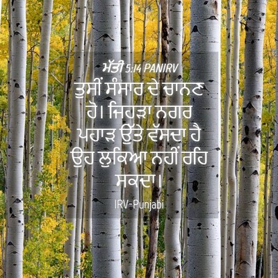 Picture 04 - ਮੱਤੀ 5:14 PANIRV - ਤੁਸੀਂ ਸੰਸਾਰ ਦੇ - Bible Verse Picture