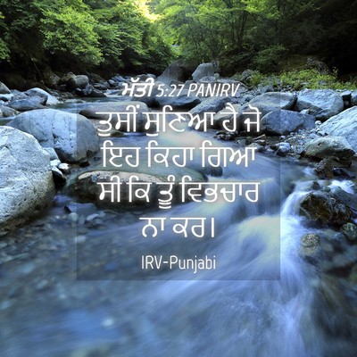 Picture 04 - ਮੱਤੀ 5:27 PANIRV - ਤੁਸੀਂ ਸੁਣਿਆ ਹੈ ਜੋ - Bible Verse Picture