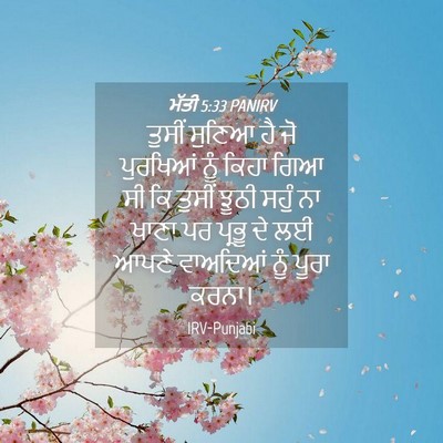Picture 04 - ਮੱਤੀ 5:33 PANIRV - ਤੁਸੀਂ ਸੁਣਿਆ ਹੈ ਜੋ - Bible Verse Picture
