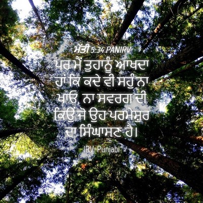Picture 04 - ਮੱਤੀ 5:34 PANIRV - ਪਰ ਮੈਂ ਤੁਹਾਨੂੰ - Bible Verse Picture