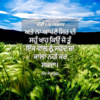 Picture 04 - ਮੱਤੀ 5:36 PANIRV - ਅਤੇ ਨਾ ਆਪਣੇ ਸਿਰ ਦੀ - Bible Verse Picture