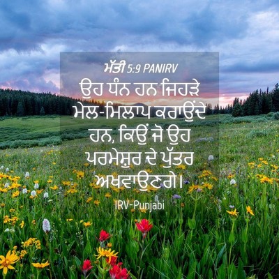 Picture 04 - ਮੱਤੀ 5:9 PANIRV - ਉਹ ਧੰਨ ਹਨ ਜਿਹੜੇ - Bible Verse Picture