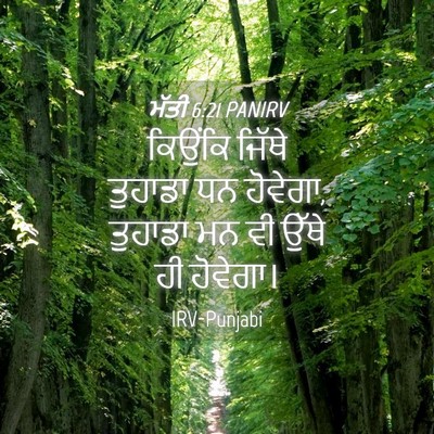 Picture 04 - ਮੱਤੀ 6:21 PANIRV - ਕਿਉਂਕਿ ਜਿੱਥੇ - Bible Verse Picture