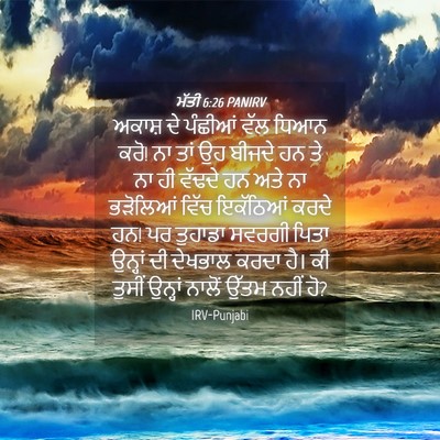 Picture 04 - ਮੱਤੀ 6:26 PANIRV - ਅਕਾਸ਼ ਦੇ ਪੰਛੀਆਂ - Bible Verse Picture