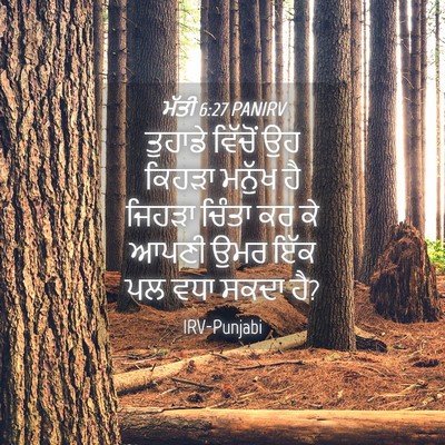 Picture 04 - ਮੱਤੀ 6:27 PANIRV - ਤੁਹਾਡੇ ਵਿੱਚੋਂ ਉਹ - Bible Verse Picture