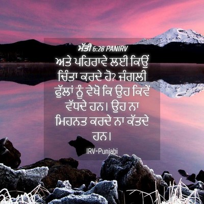 Picture 04 - ਮੱਤੀ 6:28 PANIRV - ਅਤੇ ਪਹਿਰਾਵੇ ਲਈ - Bible Verse Picture