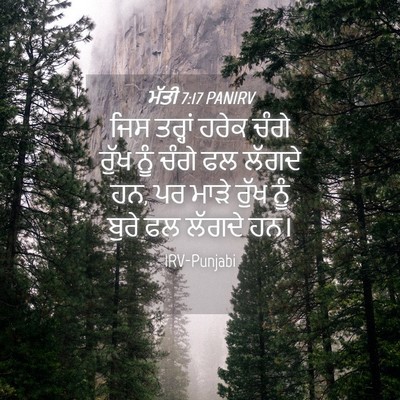 Picture 04 - ਮੱਤੀ 7:17 PANIRV - ਜਿਸ ਤਰ੍ਹਾਂ ਹਰੇਕ - Bible Verse Picture