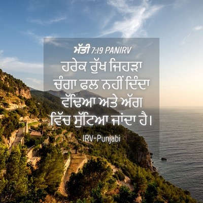 Picture 04 - ਮੱਤੀ 7:19 PANIRV - ਹਰੇਕ ਰੁੱਖ ਜਿਹੜਾ - Bible Verse Picture