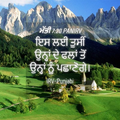 Picture 04 - ਮੱਤੀ 7:20 PANIRV - ਇਸ ਲਈ ਤੁਸੀਂ ਉਨ੍ਹਾਂ - Bible Verse Picture