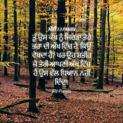 Picture 04 - ਮੱਤੀ 7:3 PANIRV - ਤੂੰ ਉਸ ਕੱਖ ਨੂੰ - Bible Verse Picture