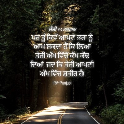 Picture 04 - ਮੱਤੀ 7:4 PANIRV - ਪਰ ਤੂੰ ਕਿਵੇਂ ਆਪਣੇ - Bible Verse Picture