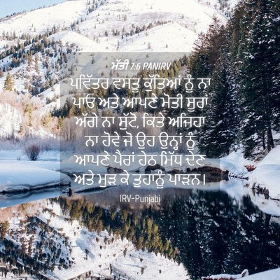 Picture 04 - ਮੱਤੀ 7:6 PANIRV - ਪਵਿੱਤਰ ਵਸਤੂ - Bible Verse Picture