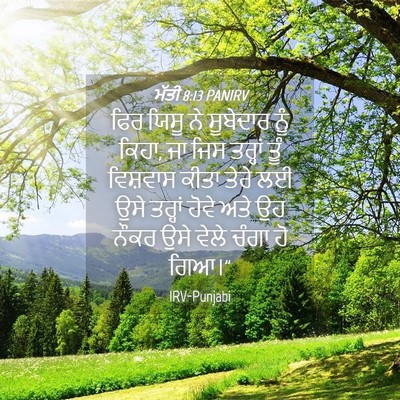 Picture 04 - ਮੱਤੀ 8:13 PANIRV - ਫਿਰ ਯਿਸੂ ਨੇ - Bible Verse Picture
