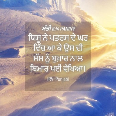 Picture 04 - ਮੱਤੀ 8:14 PANIRV - ਯਿਸੂ ਨੇ ਪਤਰਸ ਦੇ ਘਰ - Bible Verse Picture