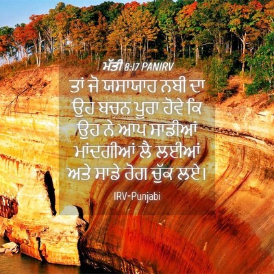 Picture 04 - ਮੱਤੀ 8:17 PANIRV - ਤਾਂ ਜੋ ਯਸਾਯਾਹ ਨਬੀ - Bible Verse Picture