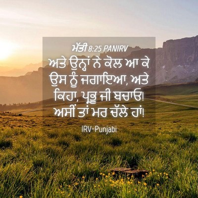 Picture 04 - ਮੱਤੀ 8:25 PANIRV - ਅਤੇ ਉਨ੍ਹਾਂ ਨੇ ਕੋਲ ਆ - Bible Verse Picture