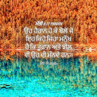Picture 04 - ਮੱਤੀ 8:27 PANIRV - ਉਹ ਹੈਰਾਨ ਹੋ ਕੇ ਬੋਲੇ - Bible Verse Picture