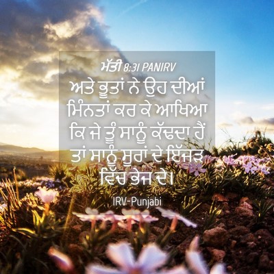 Picture 04 - ਮੱਤੀ 8:31 PANIRV - ਅਤੇ ਭੂਤਾਂ ਨੇ ਉਹ - Bible Verse Picture